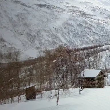 Profile image of 部下達