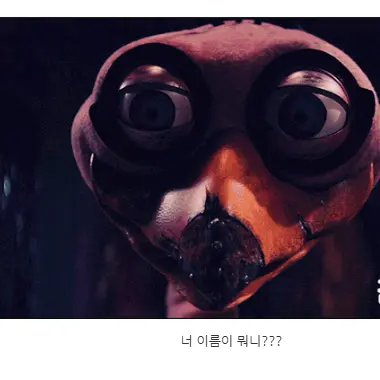 Profile image of 오지 오스트리치