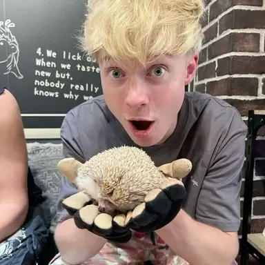 Profile image of Sam golbach