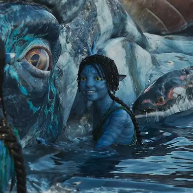 Profile image of Tuk