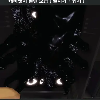 Profile image of 데코이