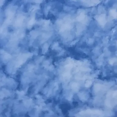 Profile image of 라더