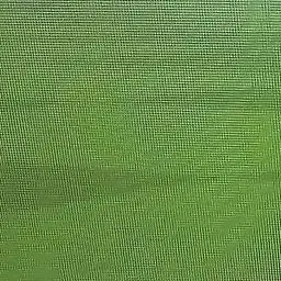 Profile image of 공룡