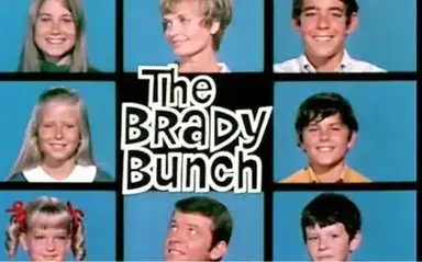 Profile image of The Brady Bunch