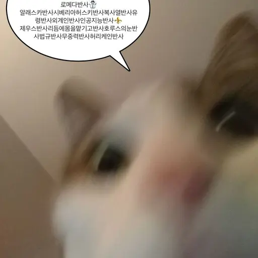 WindyThrow9736의 좌코미노과르디아노델레갈씨딜리쓰르브꽈씨오