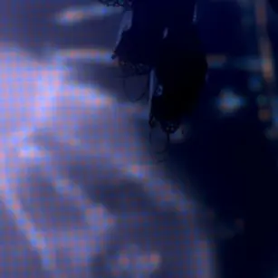 Profile image of userのメンバー