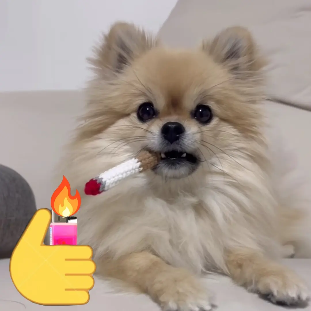 HomelyCamel4327의 담배피는 싸나운 강아지