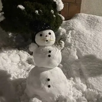 FlimsyLatch8867의 리레볼루션 (친오빠들)