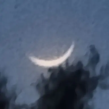 Profile image of 여우