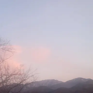 Profile image of 각별