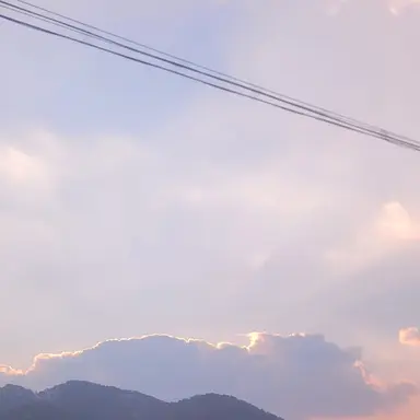 Profile image of 덕개