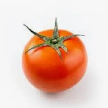 Profile image of 토마토