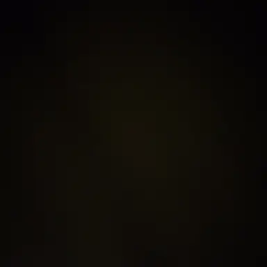 Profile image of 유저