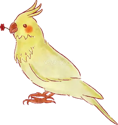 Profile image of 莉奈