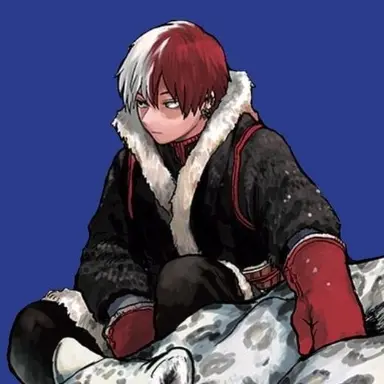 Profile image of Todoroki