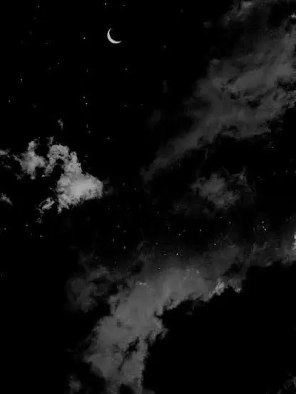 tuyu.0324의 くろのわと天敵のあの子