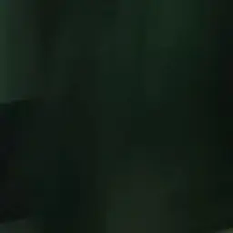Sabotage의 姬