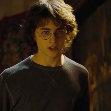 Profile image of Harry Potter