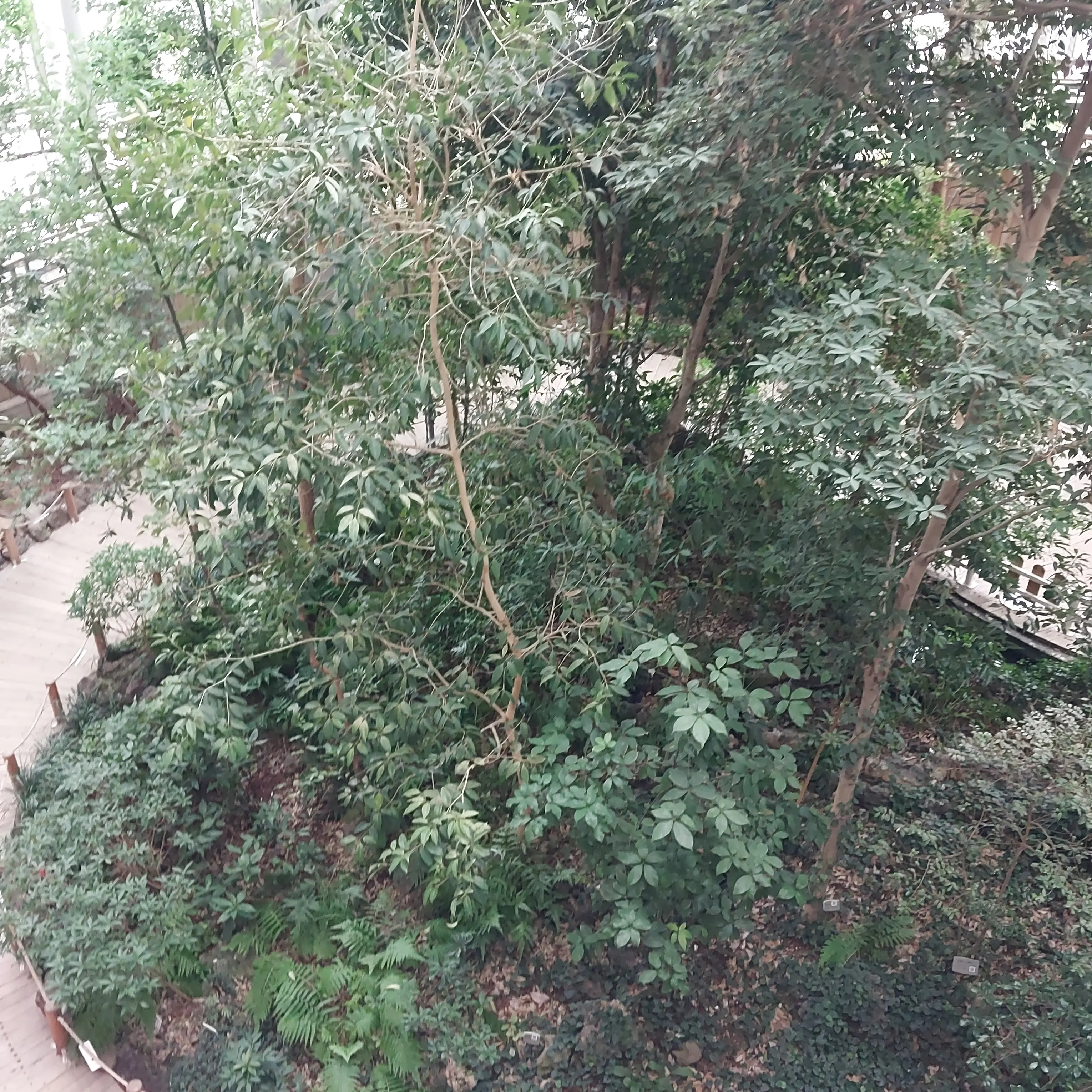 PrettyCamel5828의 팀나빠 고등학교