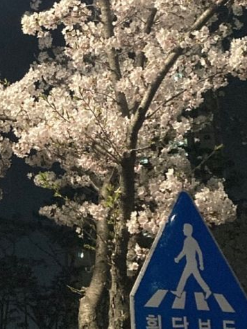 K 대표 이미지