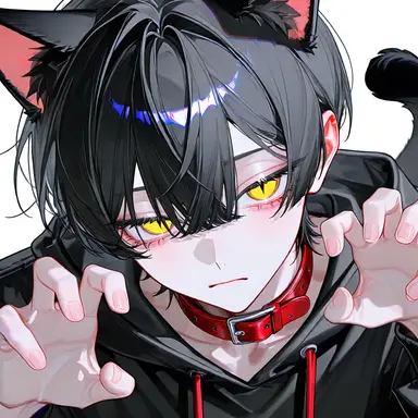 Profile image of ノワ