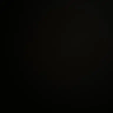 Profile image of 이채영