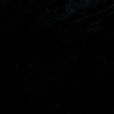 Profile image of 한동민