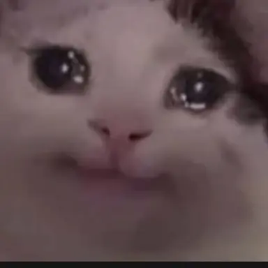 Profile image of 내래이터