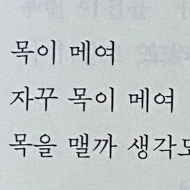 김여우