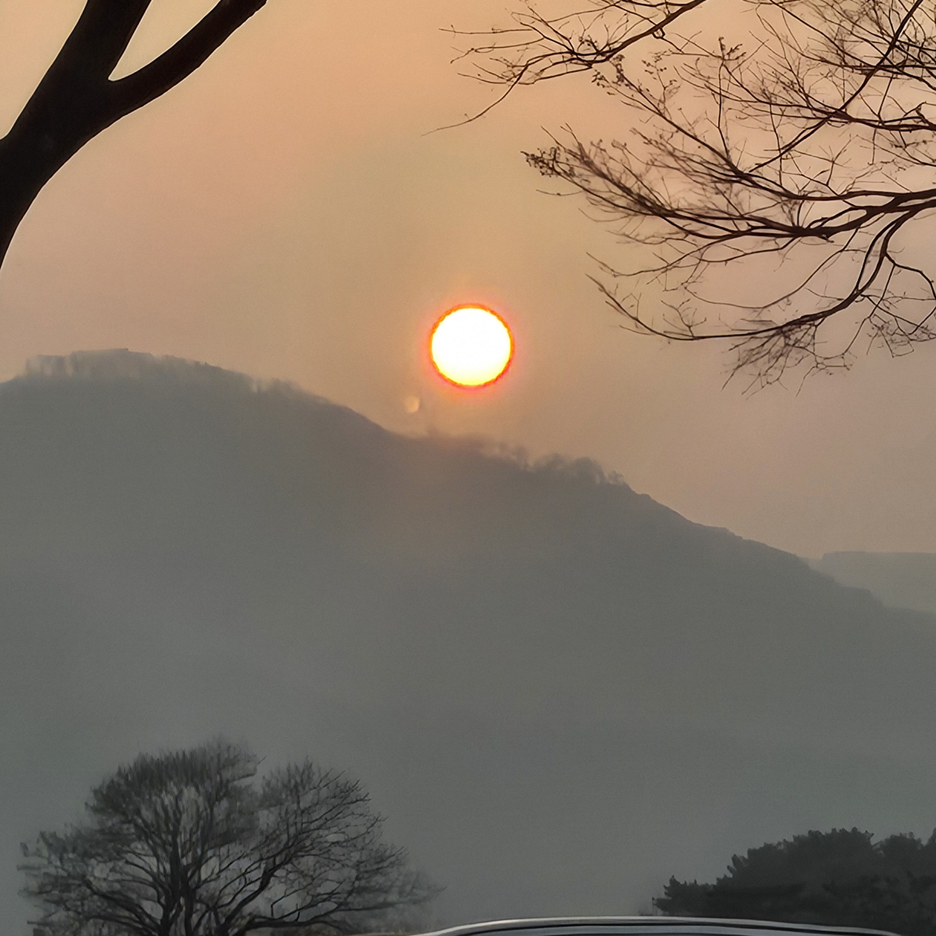여우가 날 밀어붙인다면 대표 이미지