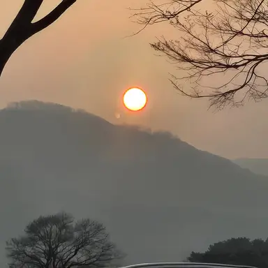 Profile image of 여우