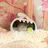 여우