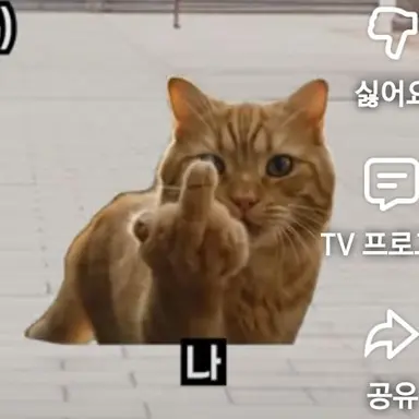 Profile image of 법규냥