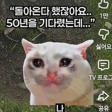 Profile image of 동생냥