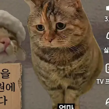 Profile image of 엄마냥