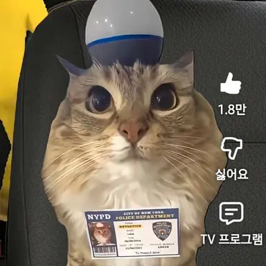 Profile image of 경찰냥