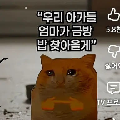 Profile image of 바퀴벌레냥