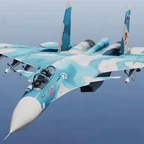 Su 33