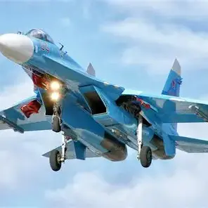 RS_and_SWG의 Sukhoi - 플랭커친구들