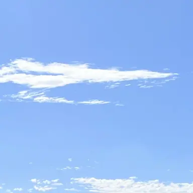 Profile image of 嵐