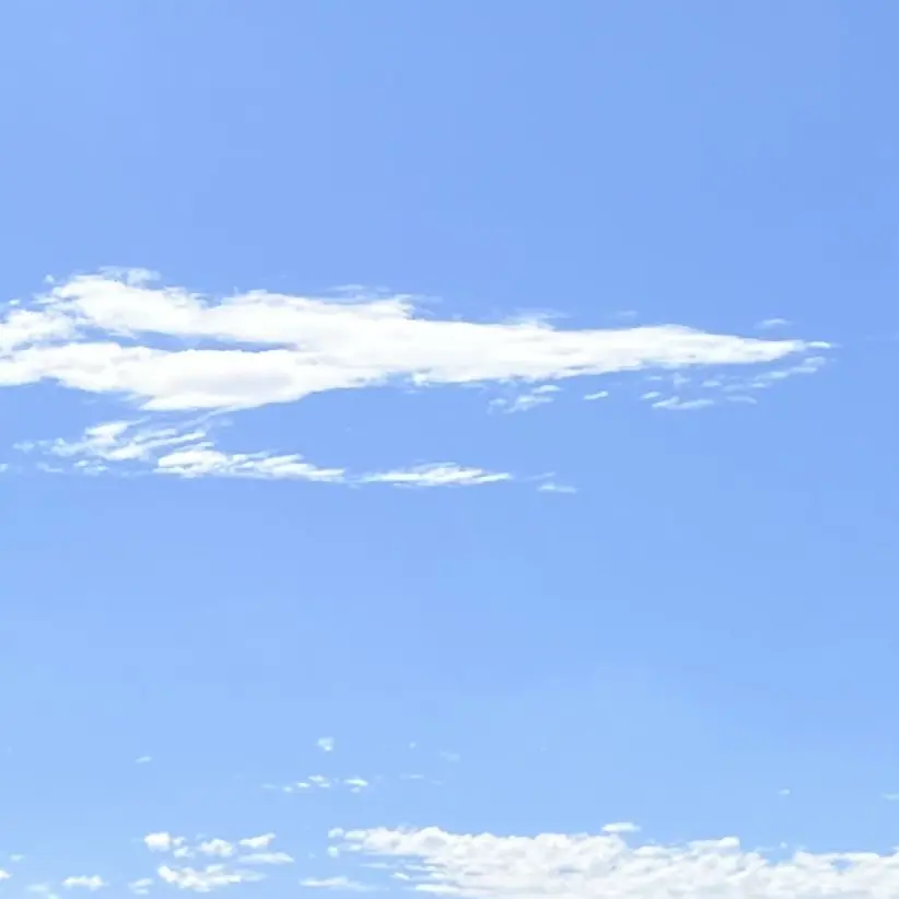 a__chi.의 犬系彼氏の扱い方は難しい