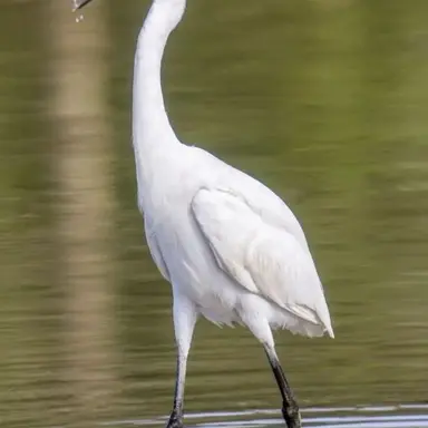 Profile image of ああああああああぁぁ