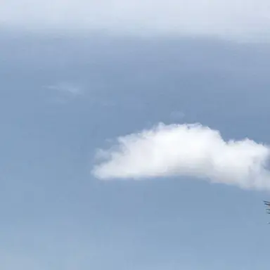 Profile image of 翔太