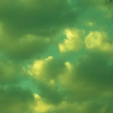 Profile image of 로보