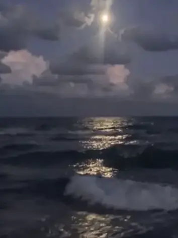 FluffyDay5640의 look at the sea