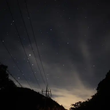 Profile image of 이블리스