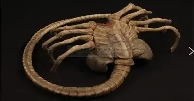 SnugWood6972의 Face hugger