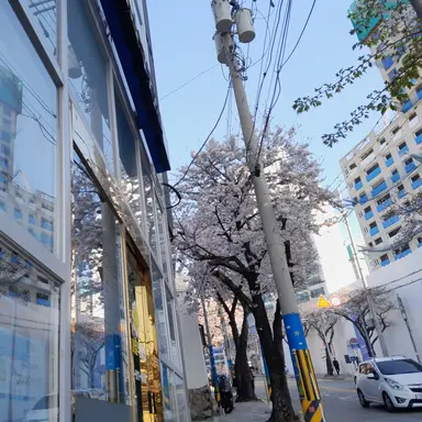 Profile image of 아쿠아리움픽셀리