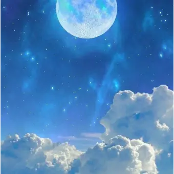 Profile image of 파이브