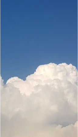 Profile image of 파이브